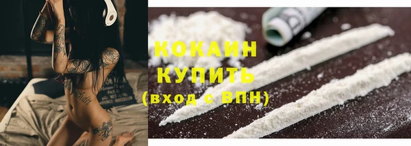 ALPHA PVP Богородицк