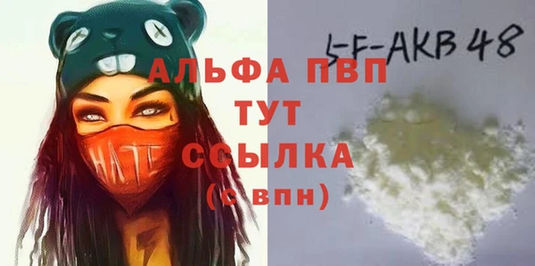сатива Ростов