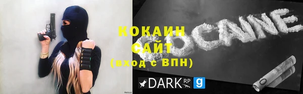 ALPHA PVP Богородицк