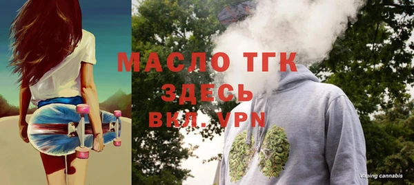 ALPHA PVP Богородицк