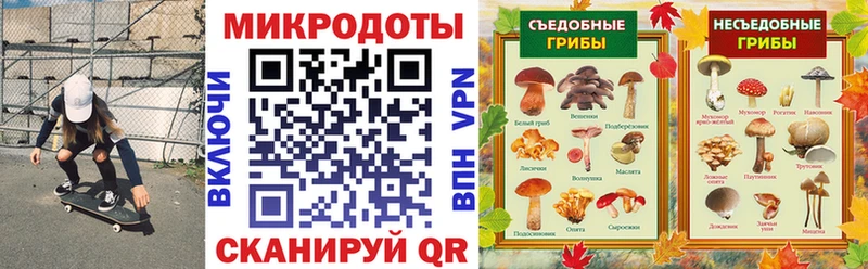 Псилоцибиновые грибы Cubensis  Верея 